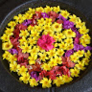 Meet your Posher, Keiko